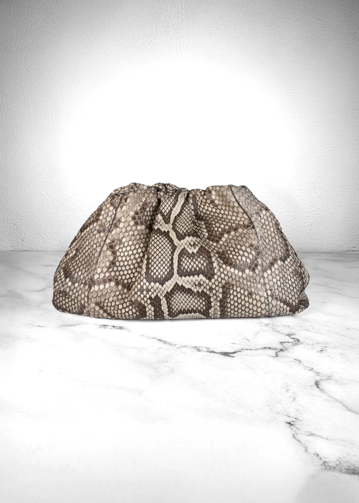 Bottega Veneta Python The Pouch Oversized Clutch