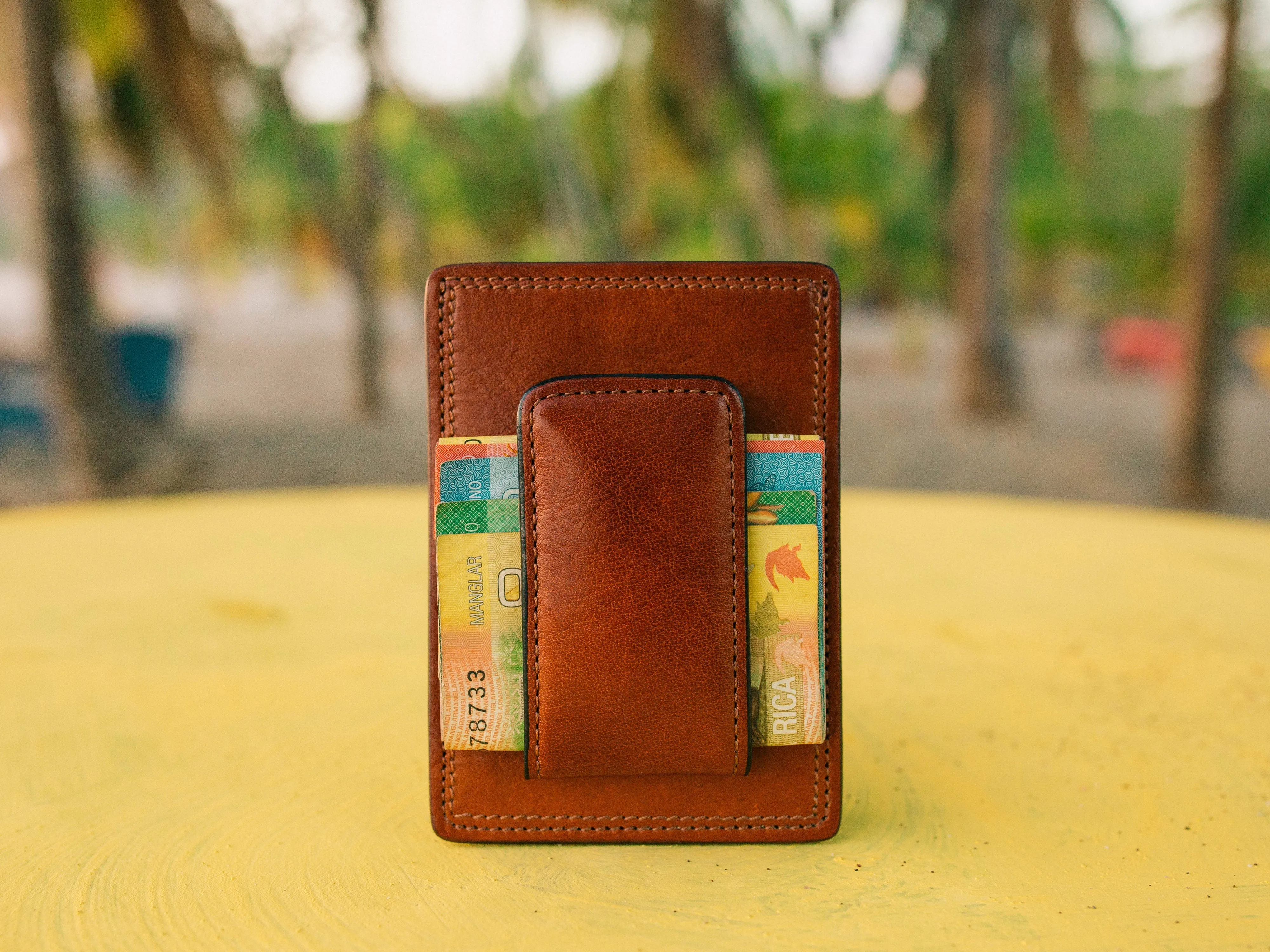 Dolce Italia Front Pocket Wallet